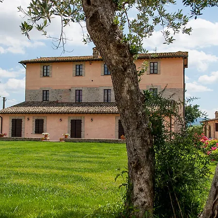 Le Stelle Di San Lorenzo * Bastia Umbra