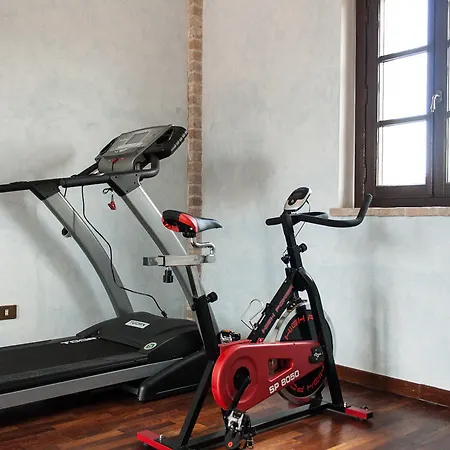 Le Stelle Di San Lorenzo