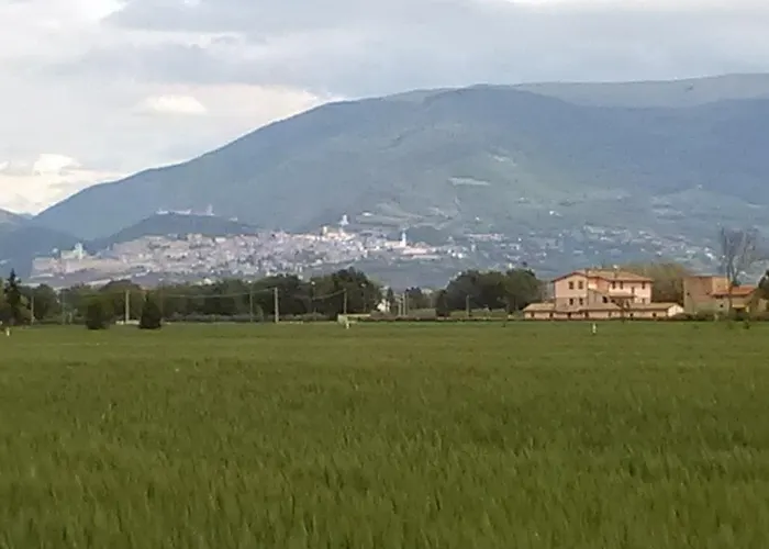 Le Stelle Di San Lorenzo * Bastia Umbra